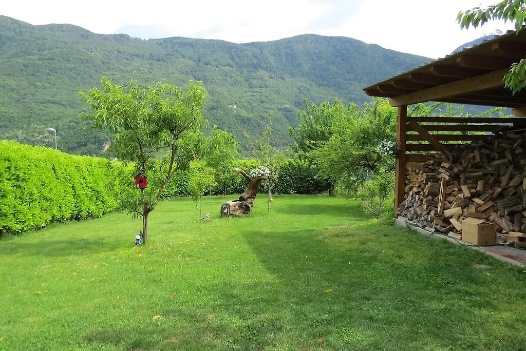 Bed & Breakfast B&B Il Grappolo Bianzone Italy